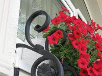 předokenní zahrádky